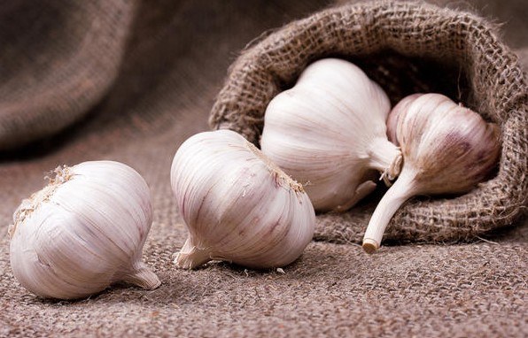 การศึกษาวิจัยเกี่ยวกับกระเทียม